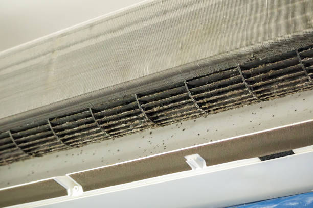 Best Local Air Duct Cleaning Services  in West Middlesex, PA